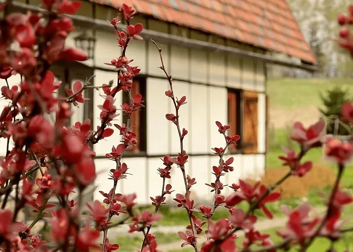 Austeria * Staniszow